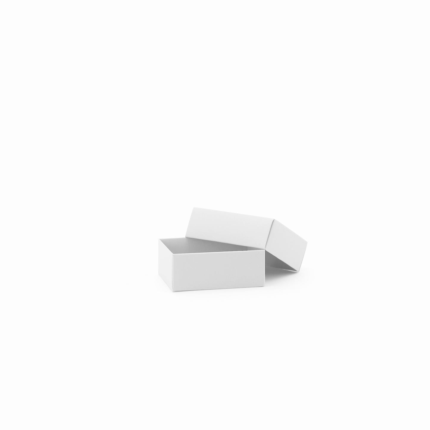 Rectangular Box With Lid XXS